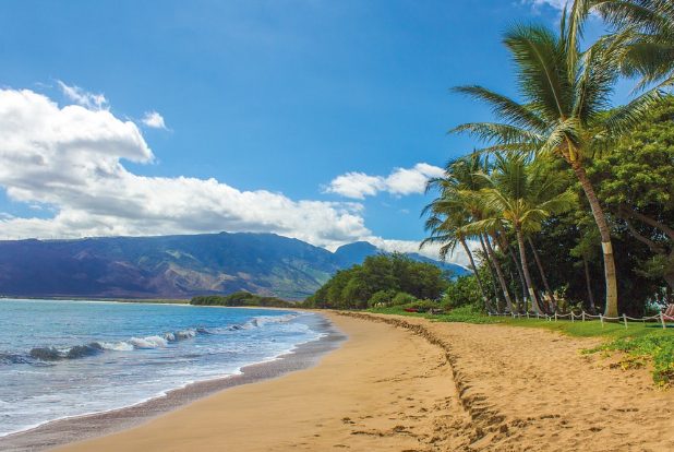 3. Hawaii Travel Cost2
